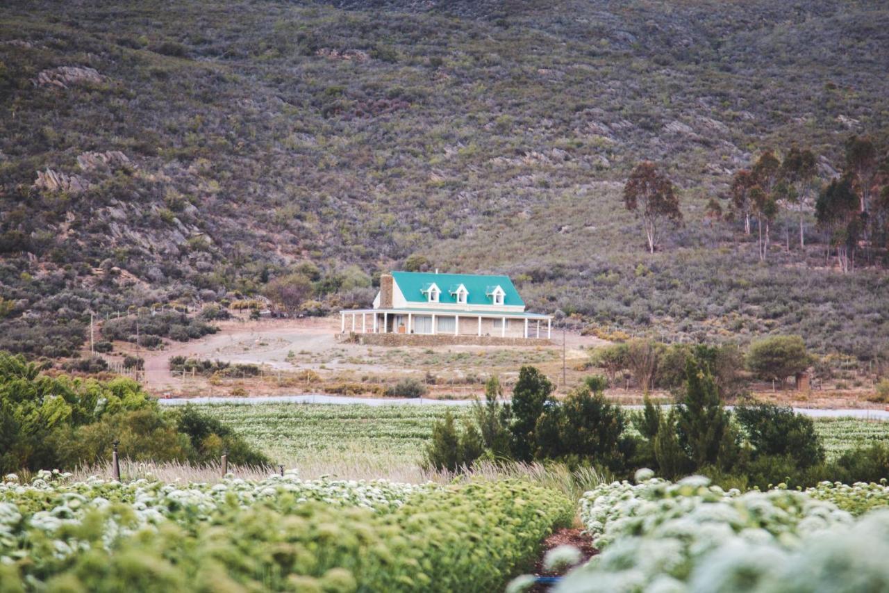 Blue Cow Barn - Boutique Farm Pensionat Barrydale Eksteriør billede