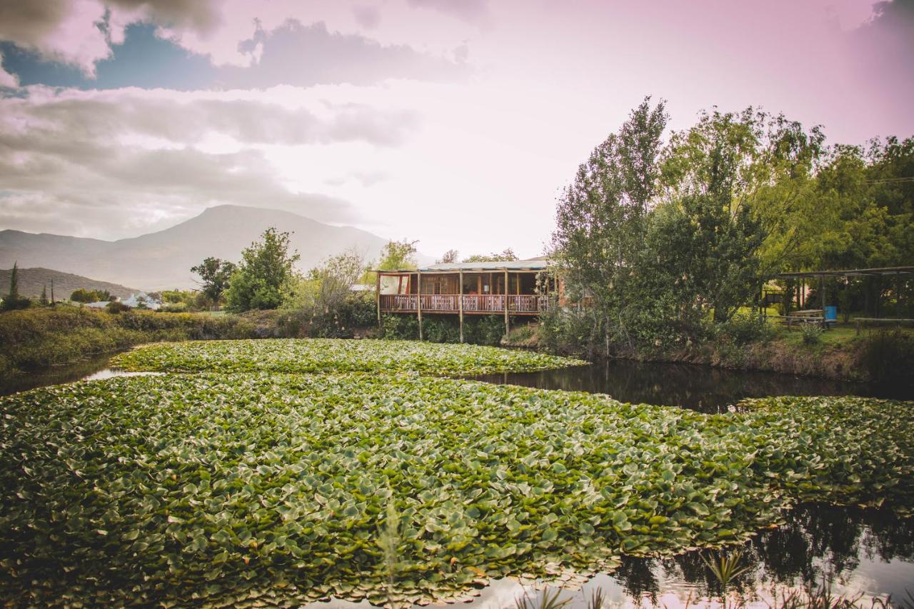 Blue Cow Barn - Boutique Farm Pensionat Barrydale Eksteriør billede